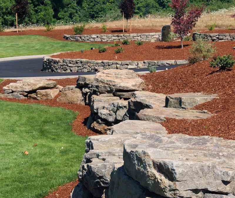 Pine Bark: Eco-Friendly Mulch - Everything You Need to Know