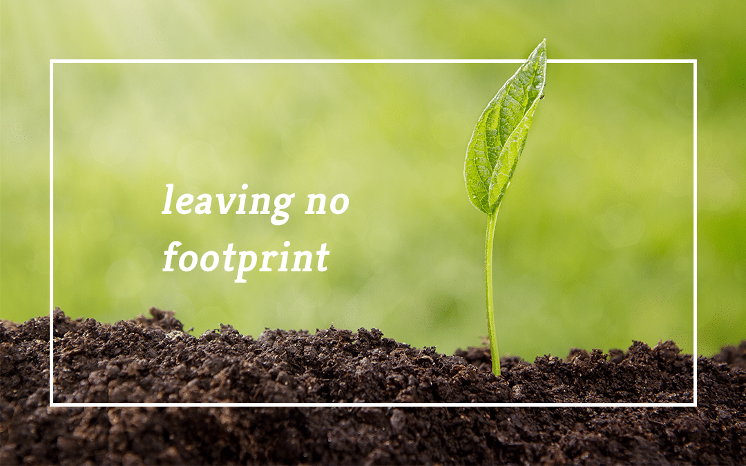 leaving no footprint