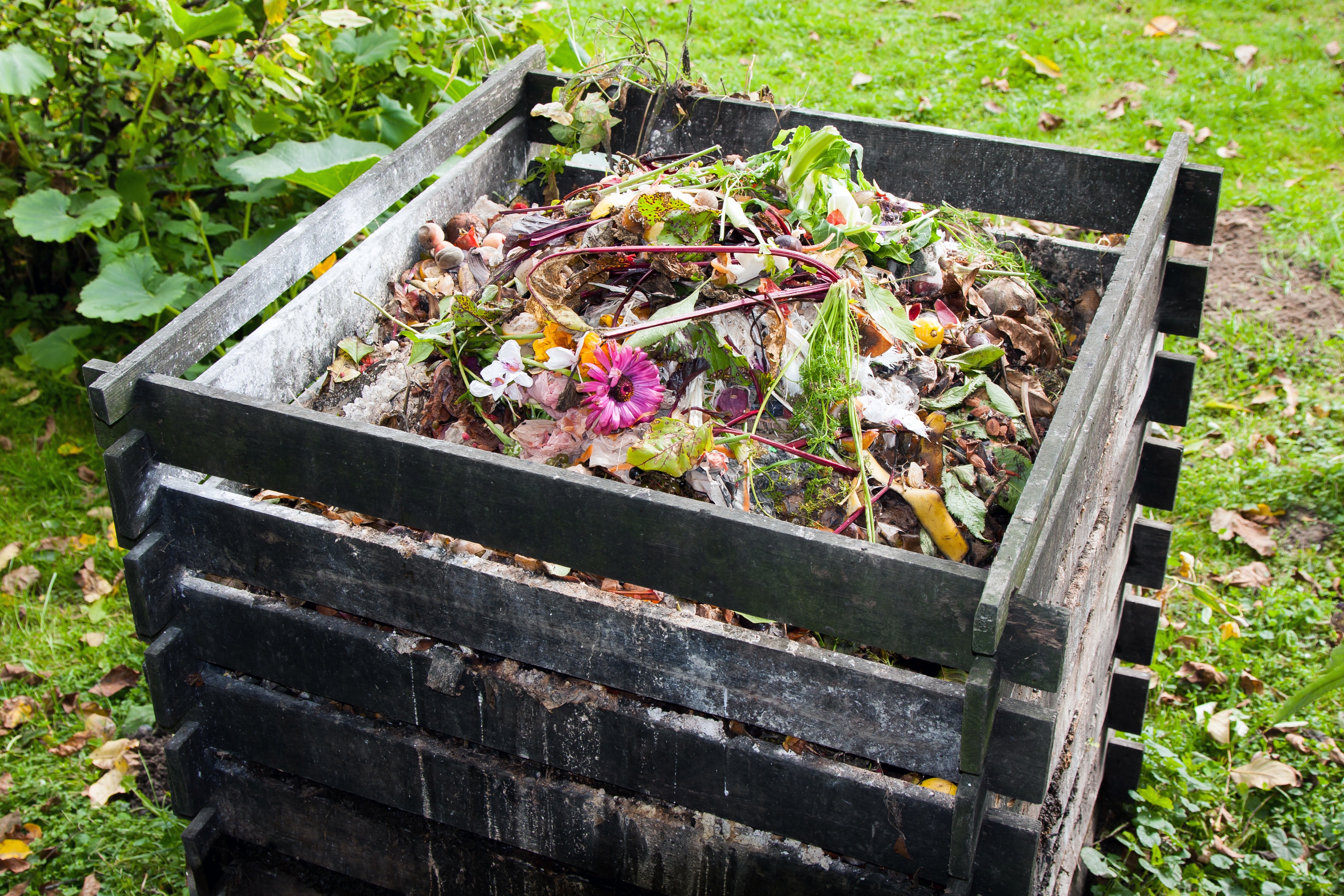 How to Start a Compost Pile