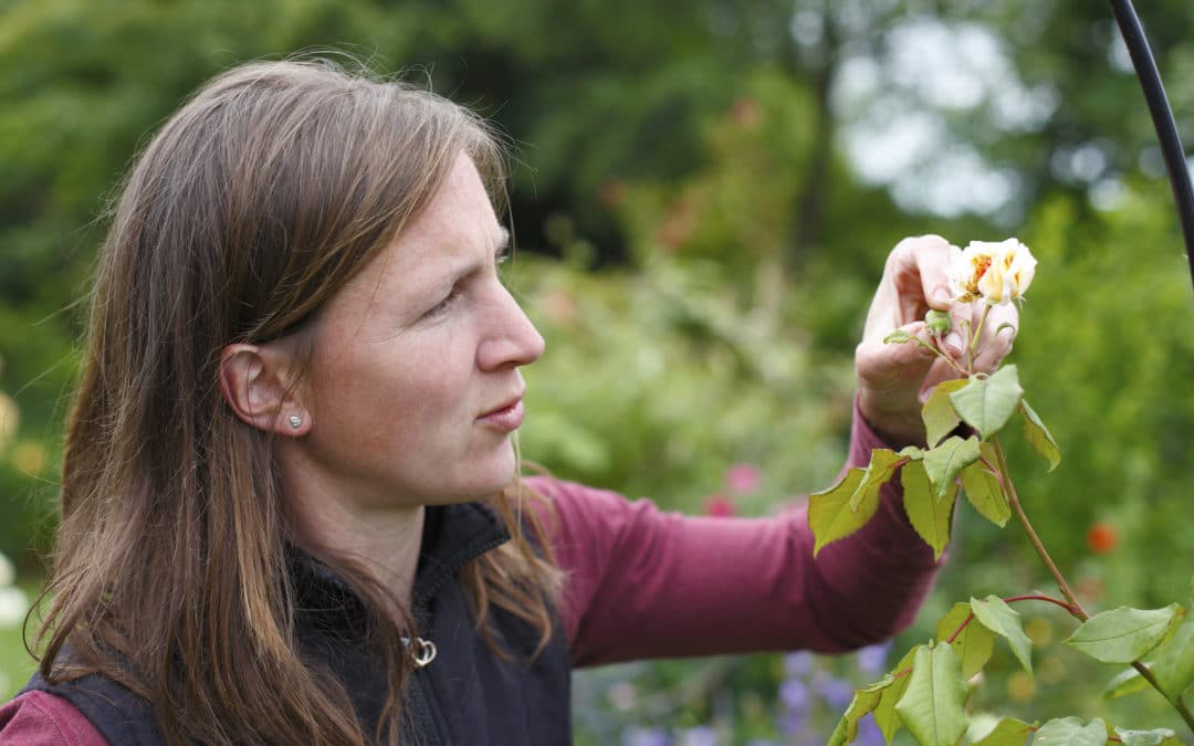 woman inspects her garden for pests and disease