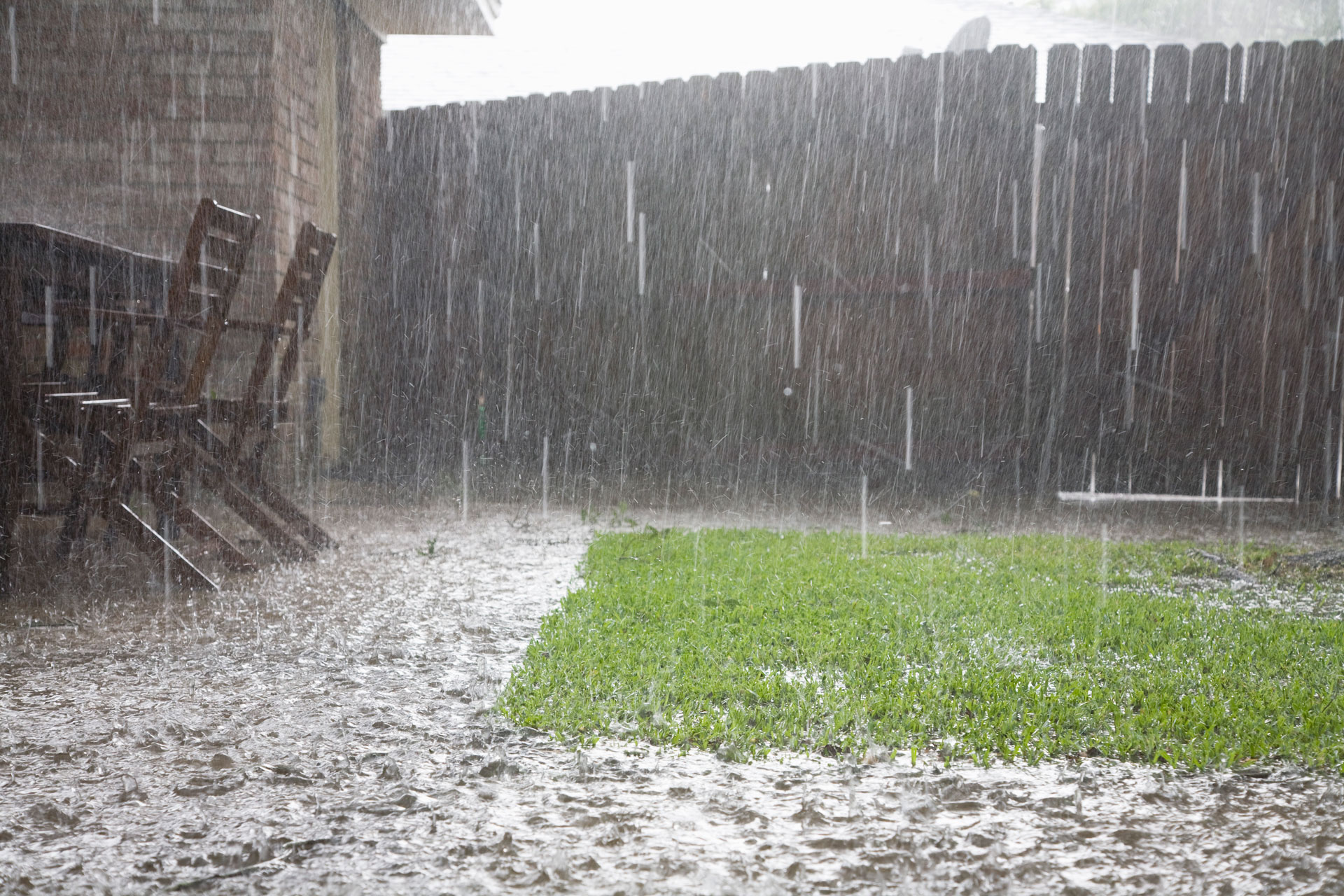 Why rainy weather is good for gardens and bad for lawns – Houston