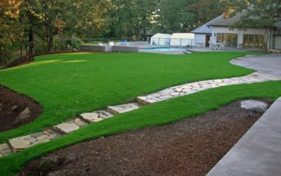 When, Why, and How You Should Aerate Your Lawn
