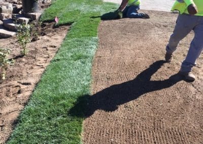 laying sod s