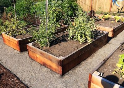 101 Res Redwood Raised Garden Beds 3