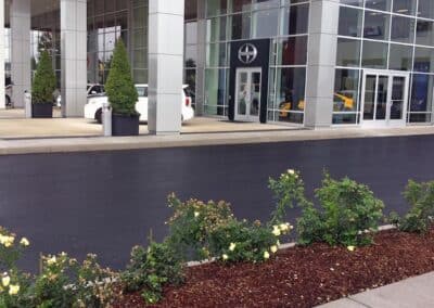 83 Commercial Capitol Toyota Yellow Rose Bushes