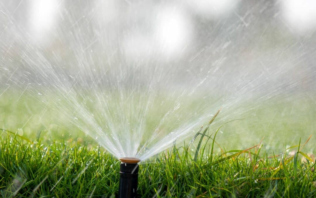 Spring Irrigation System Check