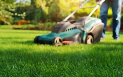 Revitalize Your Lawn This Spring: The Benefits of Mowing Taller